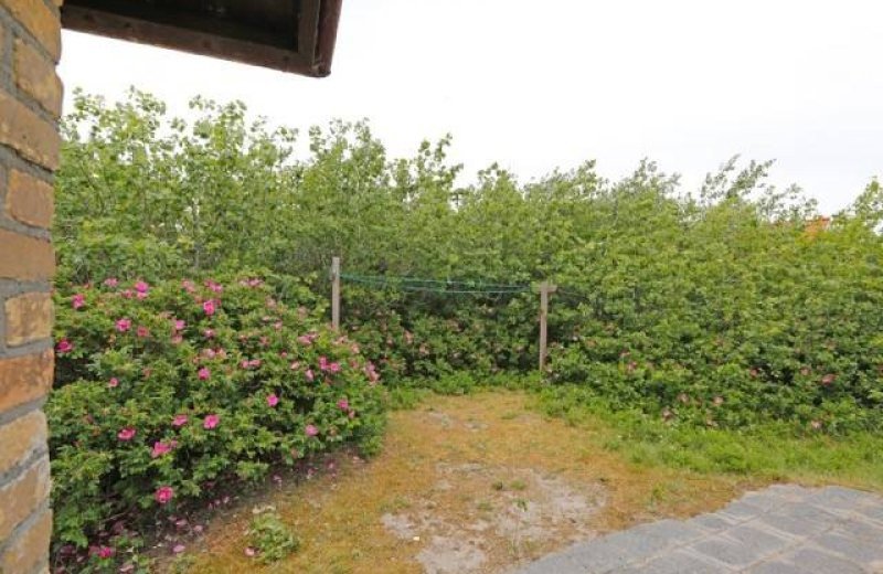 Kwikstaart vakantiehuisje vliemare 9